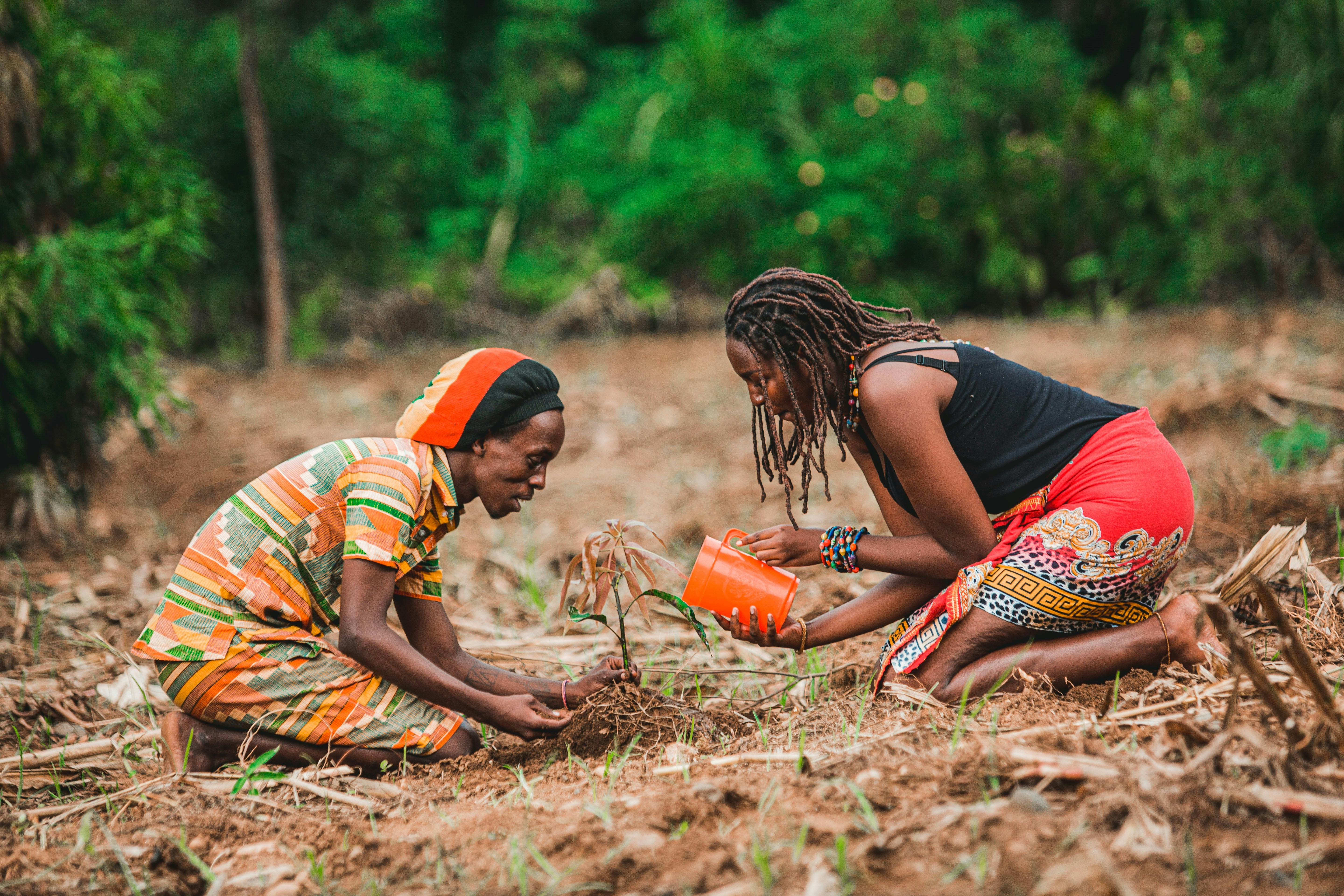 Environmental Sustainability and Climate Change